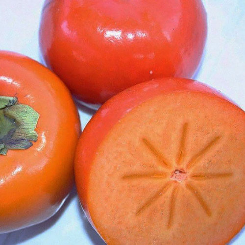 Хурма «Медовая Мандаринная»